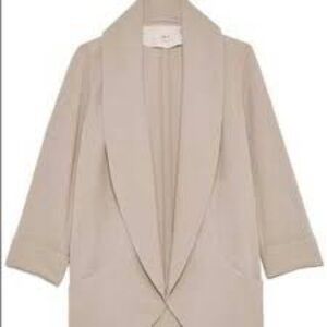Aritzia Wilfred chevalier blazer